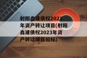 射阳鑫建债权2023年资产转让项目(射阳鑫建债权2023年资产转让项目招标)