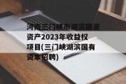 河南三门峡市湖滨国资资产2023年收益权项目(三门峡湖滨国有资本招聘)