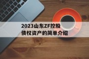 2023山东ZF控股债权资产的简单介绍