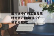 四川遂宁广利工业发展特定资产拍卖(遂宁广利公司招聘)