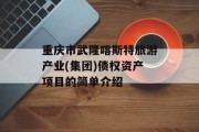 重庆市武隆喀斯特旅游产业(集团)债权资产项目的简单介绍