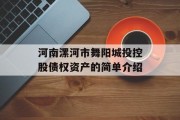 河南漯河市舞阳城投控股债权资产的简单介绍