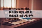台儿庄2022应收账款债权项目(东旭债务重组方案终出炉拟十年还完本金)