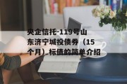 央企信托-119号山东济宁城投债券（15个月）标债的简单介绍