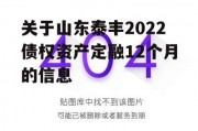 关于山东泰丰2022债权资产定融12个月的信息