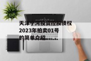 天津宁河投资控股债权2023年拍卖01号的简单介绍