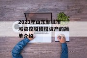 2023年山东邹城市城资控股债权资产的简单介绍