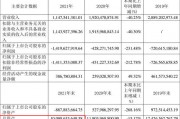 2022淄博公有债权计划(淄博城市建设债权系列项目)