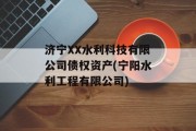 济宁XX水利科技有限公司债权资产(宁阳水利工程有限公司)