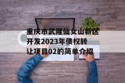 重庆市武隆仙女山新区开发2023年债权转让项目02的简单介绍