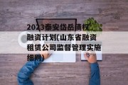 2023泰安岱岳债权融资计划(山东省融资租赁公司监督管理实施细则)