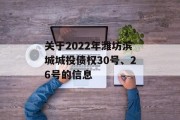 关于2022年潍坊滨城城投债权30号、26号的信息