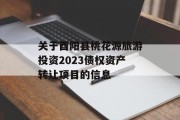 关于酉阳县桃花源旅游投资2023债权资产转让项目的信息