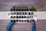 重庆市武隆喀斯特2023年债权项目(重庆市武隆喀斯特2023年债权项目招标公告)
