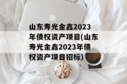 山东寿光金鑫2023年债权资产项目(山东寿光金鑫2023年债权资产项目招标)