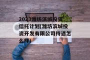 2023潍坊滨城投资信托计划(潍坊滨城投资开发有限公司待遇怎么样)