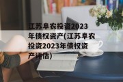 江苏阜农投资2023年债权资产(江苏阜农投资2023年债权资产评估)