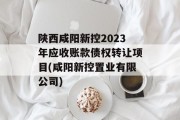 陕西咸阳新控2023年应收账款债权转让项目(咸阳新控置业有限公司)