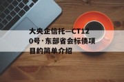 大央企信托—CT120号·东部省会标债项目的简单介绍