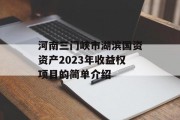 河南三门峡市湖滨国资资产2023年收益权项目的简单介绍