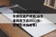 山东正方控股2022年债权资产项目(山东省政府下达2023年省重大项目名单)