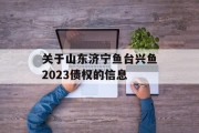 关于山东济宁鱼台兴鱼2023债权的信息