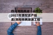 四川简阳两湖一山投资2023年债权资产拍卖(简阳市两湖源工程)
