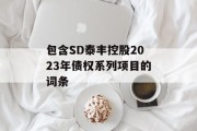 包含SD泰丰控股2023年债权系列项目的词条