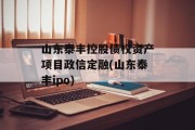 山东泰丰控股债权资产项目政信定融(山东泰丰ipo)