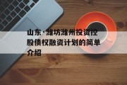 山东·潍坊潍州投资控股债权融资计划的简单介绍
