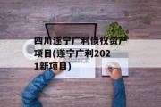 四川遂宁广利债权资产项目(遂宁广利2021新项目)