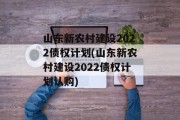 山东新农村建设2022债权计划(山东新农村建设2022债权计划认购)