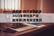 政府债-四川安汉实业2023年债权资产定融项目(西充安汉集团总经理)