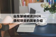 山东邹城城资2024债权项目的简单介绍