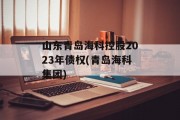 山东青岛海科控股2023年债权(青岛海科集团)