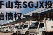 关于山东SGJX投控政信债权一号的信息