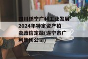 四川遂宁广利工业发展2024年特定资产拍卖政信定融(遂宁市广利集团公司)