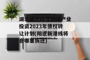 湖北武汉阳逻新港产业投资2023年债权转让计划(阳逻新港线将会哪里拆迁)