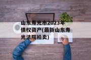 山东寿光市2023年债权资产(最新山东寿光法院拍卖)