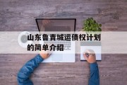 山东鲁青城运债权计划的简单介绍