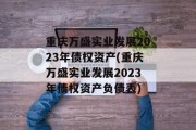 重庆万盛实业发展2023年债权资产(重庆万盛实业发展2023年债权资产负债表)