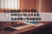 2024年江苏阜农债权转让计划(江苏阜农投资有限公司是国有的吗?)