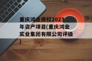 重庆鸿业债权2023年资产项目(重庆鸿业实业集团有限公司评级)