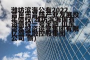 潍坊滨海公有2022年债权(潍坊滨海国有资本投资运营集团有限公司 债)