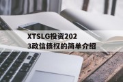 XTSLG投资2023政信债权的简单介绍