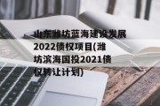 山东潍坊蓝海建设发展2022债权项目(潍坊滨海国投2021债权转让计划)