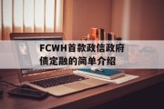 FCWH首款政信政府债定融的简单介绍