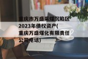重庆市万盛采煤沉陷区2023年债权资产(重庆万盛煤化有限责任公司电话)