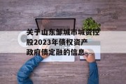关于山东邹城市城资控股2023年债权资产政府债定融的信息