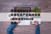 陕西咸阳新控2024年债权资产定融政府债(咸阳金控2020年债券)